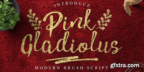 Pink Gladiolus Font Family - 4 Fonts