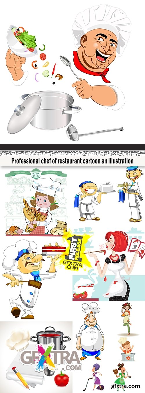 Professional chef of restaurant cartoon an illustration