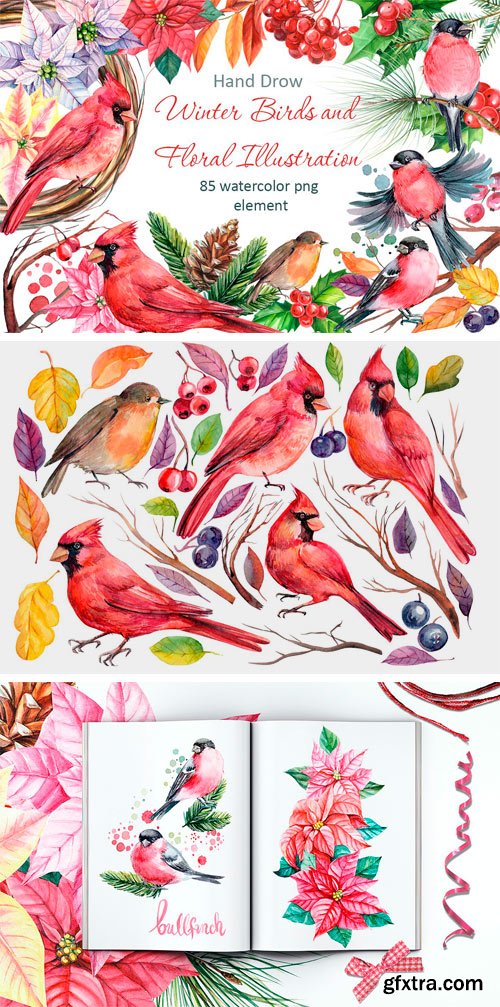 CM - Winter Birds and Floral Illustration 2010561