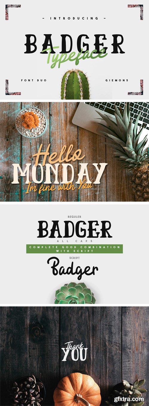CM - Badger Typeface 2021713
