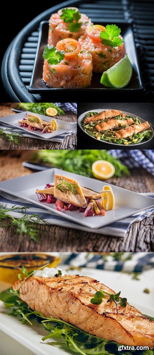 Photos - Tasty Fish Dishes 52