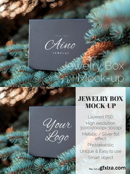CM - Jewelry Box Mock-up 1432294