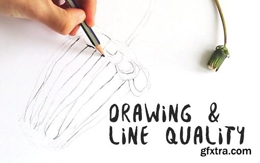 Drawing & Line Quality