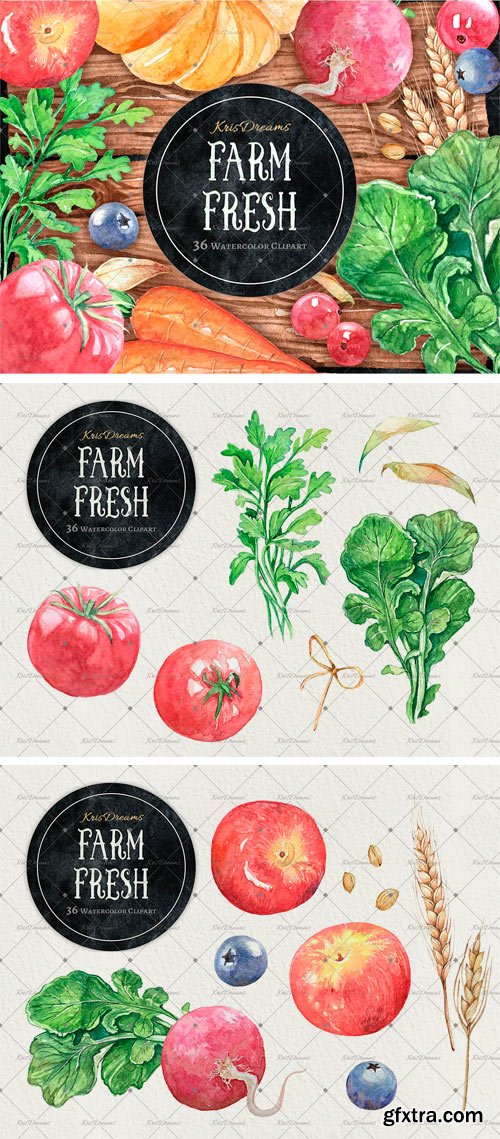 CM - Farm Fresh Watercolor Clipart 2038066