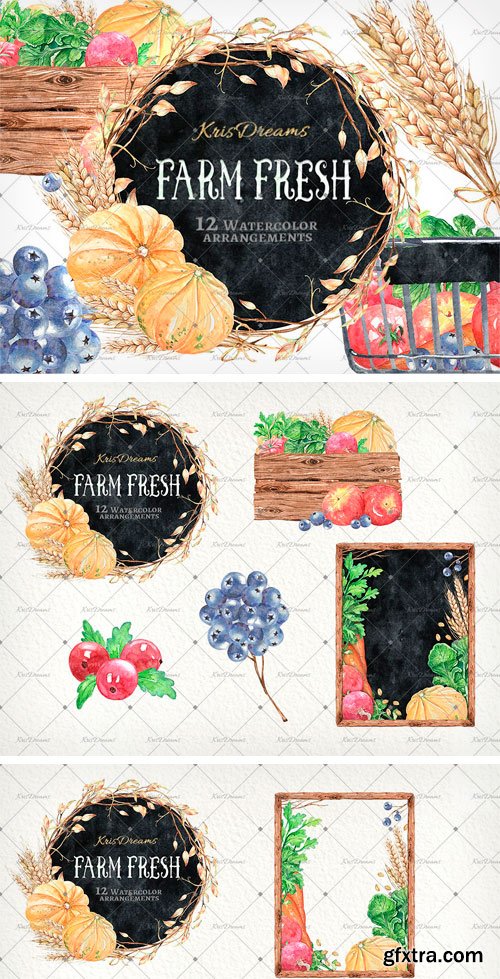 CM - Farm Fresh Watercolor Arrangements 2038758