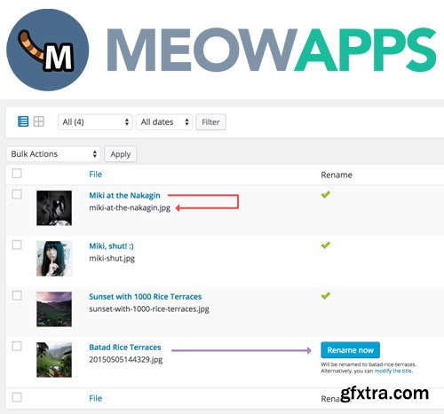 MeowApps - Media File Renamer Pro v3.7.3 - For cleaner & SEO friendly filenames
