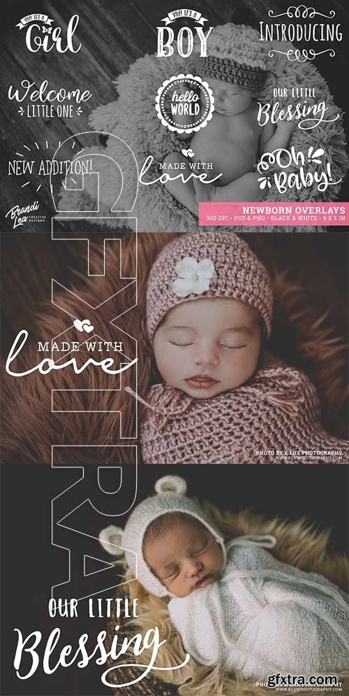 CreativeMarket - Newborn Photography Overlays 2162731