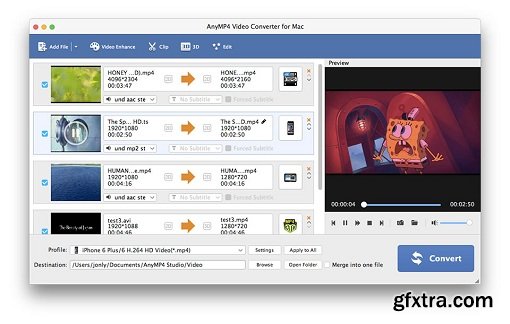 AnyMP4 Video Converter v8.1.16 (macOS)