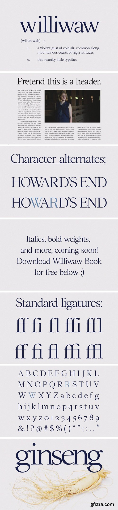 Williwaw Book Typeface