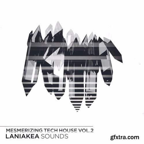 Laniakea Sounds Mesmerizing Tech House Vol 2 WAV MiDi-DISCOVER