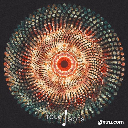 Touch Loops Cyclic Beats WAV-DISCOVER
