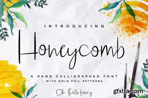 Honeycomb Font Family - 2 Fonts