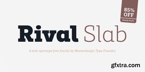 Rival Slab Font Family - 16 Fonts