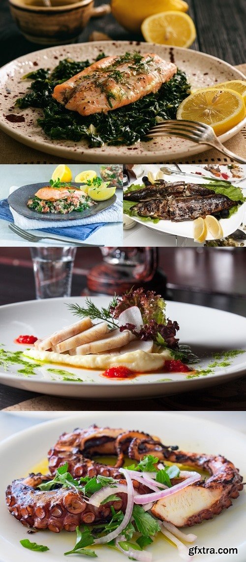 Photos - Tasty Fish Dishes 54