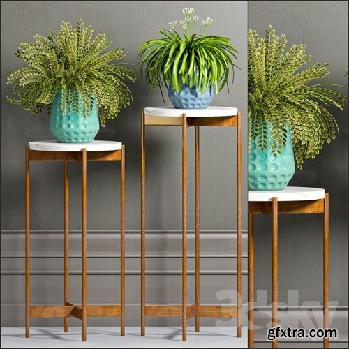 PLANT-40: Decorative planters with stand