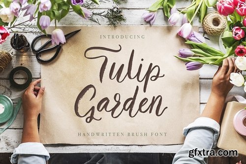 CM - Tulip Garden Script 1911904
