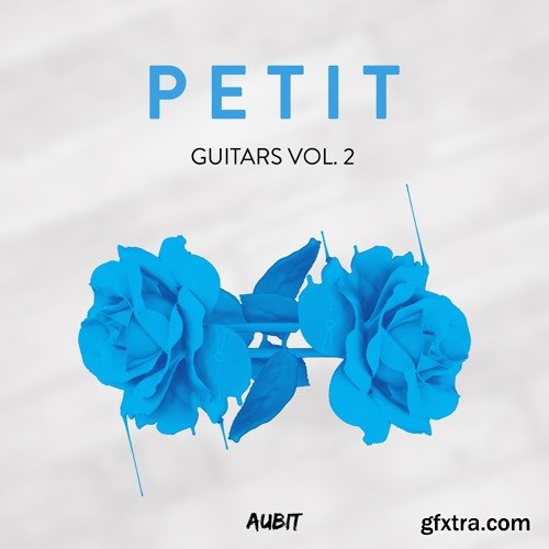 Aubit Petit Guitars Vol 2 WAV