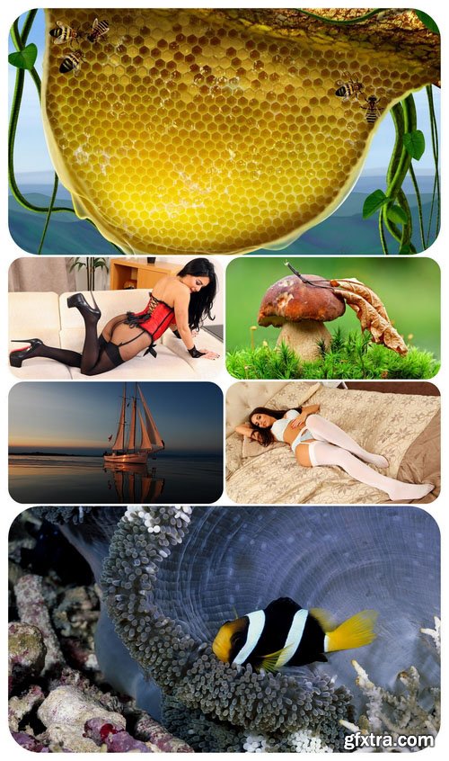 Beautiful Mixed Wallpapers Pack 655