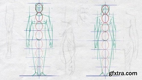 Easy Steps to Figure Drawing - Anatomy of Male & Female Body