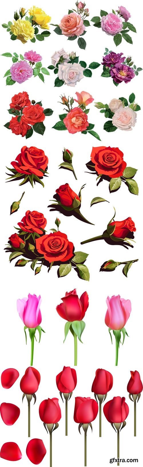 Vectors - Shiny Different Roses 11