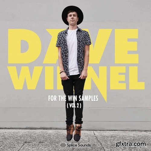 Splice Sounds Dave Winnel For The Win Vol 2 WAV