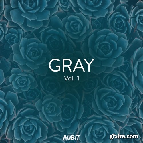 Aubit Gray Vol 1 WAV MiDi XFER RECORDS SERUM NATiVE iNSTRUMENTS MASSiVE-DISCOVER