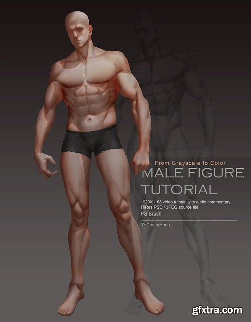 Gumroad - Yu Cheng Hong - Male Body Tutorial (Complete Version)