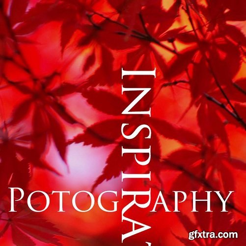 Photography INSPIRATION