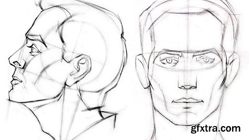 Drawing Training: How to Draw a Parts of The Human Head