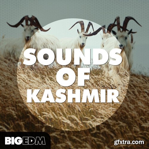 Big EDM Sounds Of Kashmir WAV MiDi Sylenth1 Spire Serum