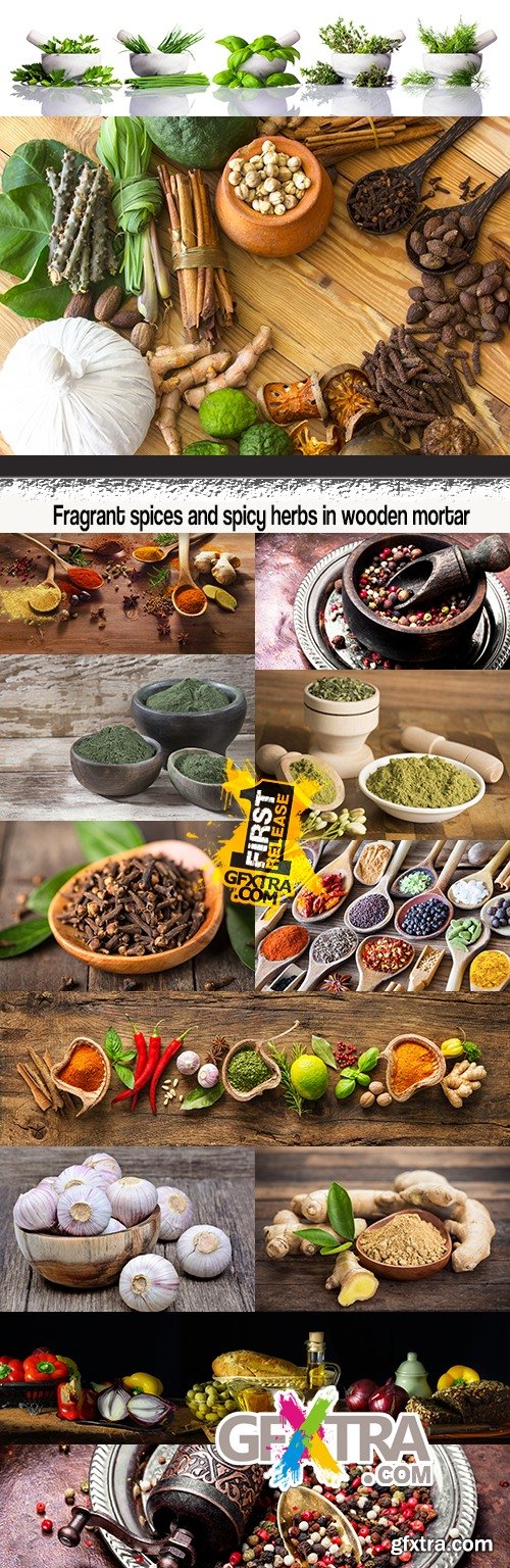 Fragrant spices and spicy herbs in wooden mortar