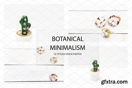 CM - Botanical Minimalism Bundle 2275209