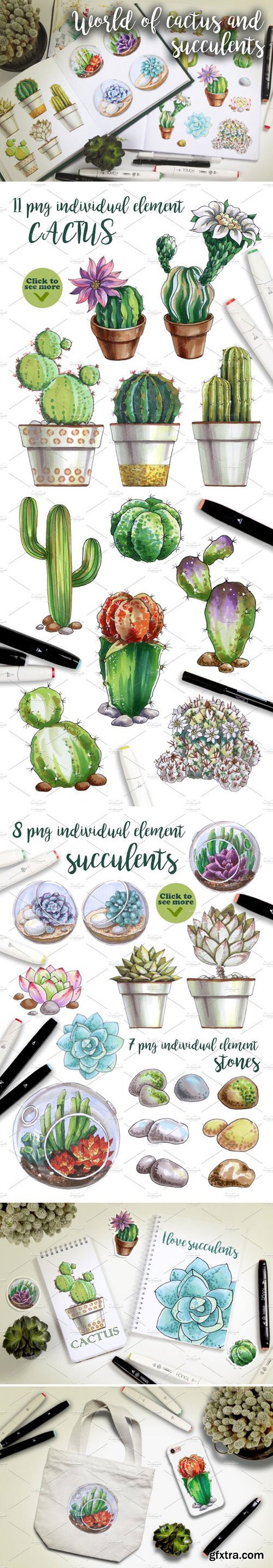 CM - World of cactus and succulents 2231329