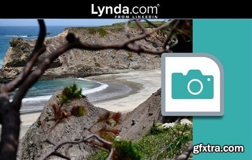 Lynda - Photography 101