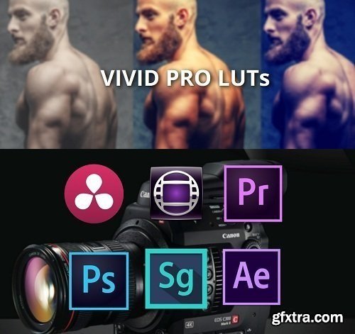 VIVID PRO LUTs / Fantasy LUT pack Lut Market (Win/Mac)