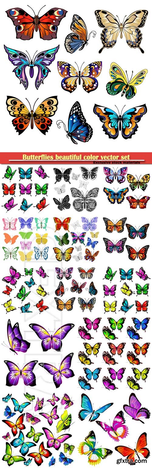 Butterflies beautiful color vector set