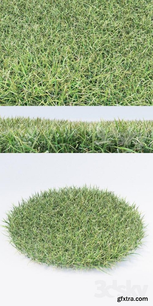 Grass 05 3d Model
