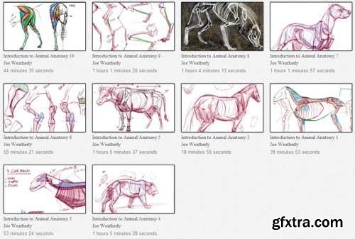 Introduction to Animal Anatomy Vol 1-10