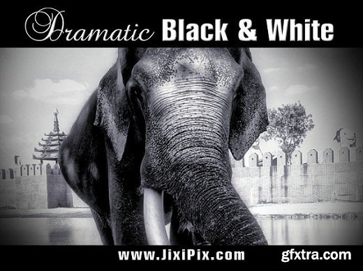 JixiPix Dramatic Black and White 2.51