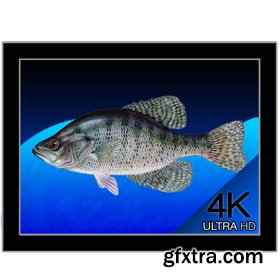 Aquarium 4K - Live Wallpaper 1.0.3 MAS