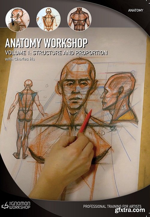 The Gnomon Workshop - Anatomy Workshop: Volume One Structure and Proportion