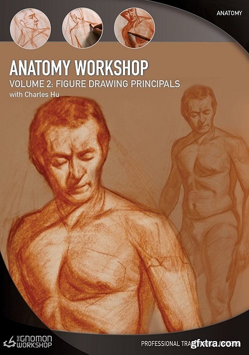 The Gnomon Workshop - Anatomy Workshop Volume 2 Figure Drawing Principles