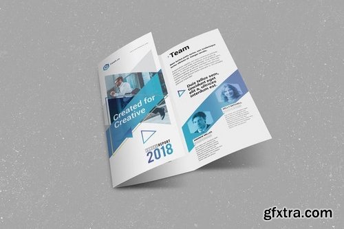 Annual Report Trifold