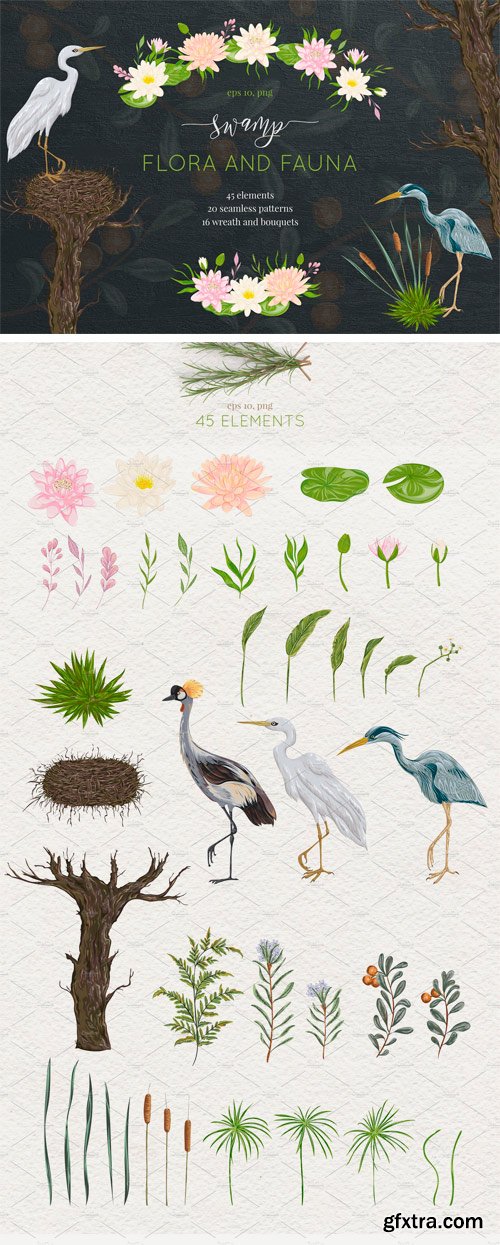 CM - Swamp Flora and Fauna 2270825