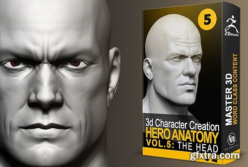 Cubebrush - Hero Anatomy En Vol. 5 The Head