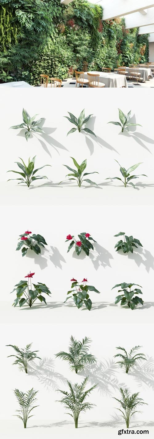Maxtree - Plant Models Vol 4
