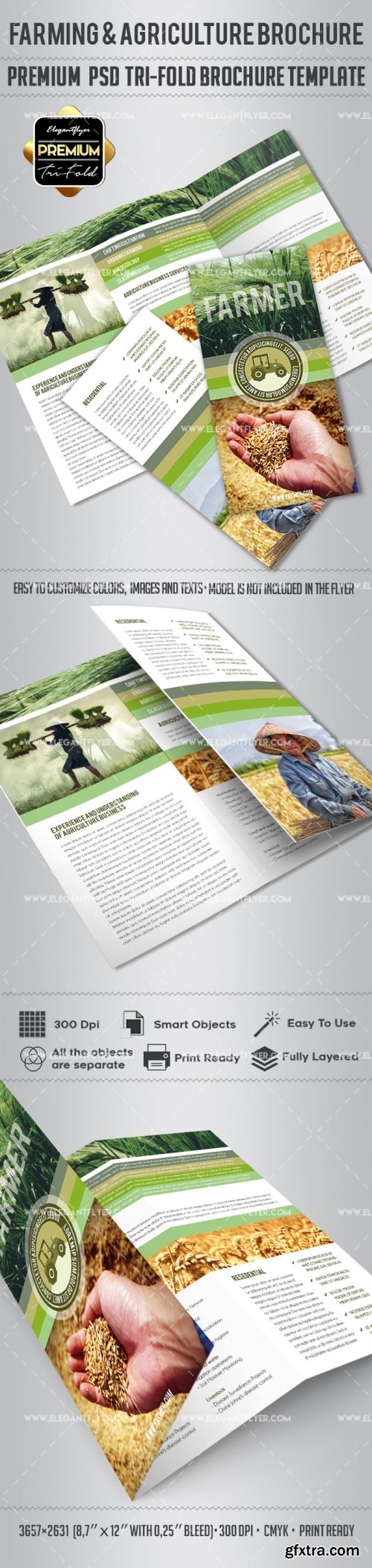 Farming&Agriculture V1 Premium Tri-Fold PSD Brochure Template