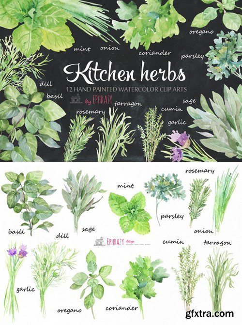 CM - Kitchen herbs. Watercolor clipart 1576638