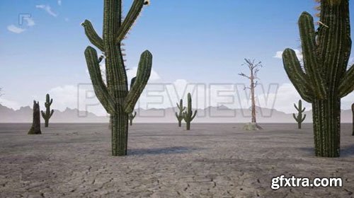 The Desert Dry - Motion Graphics 75158
