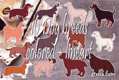 CM - 16 Dog breed illustrations 2373320